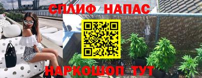 мдпв Партизанск