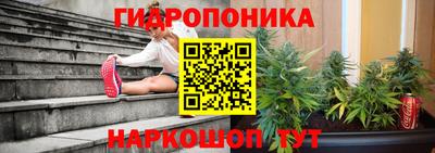 ПСИЛОЦИБИНОВЫЕ ГРИБЫ Пенза