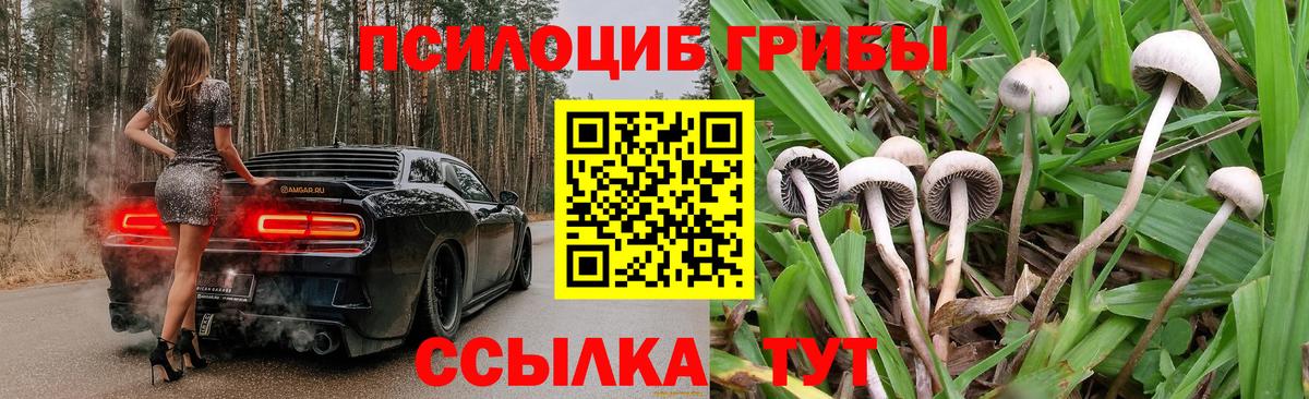 Псилоцибиновые грибы GOLDEN TEACHER Сибай