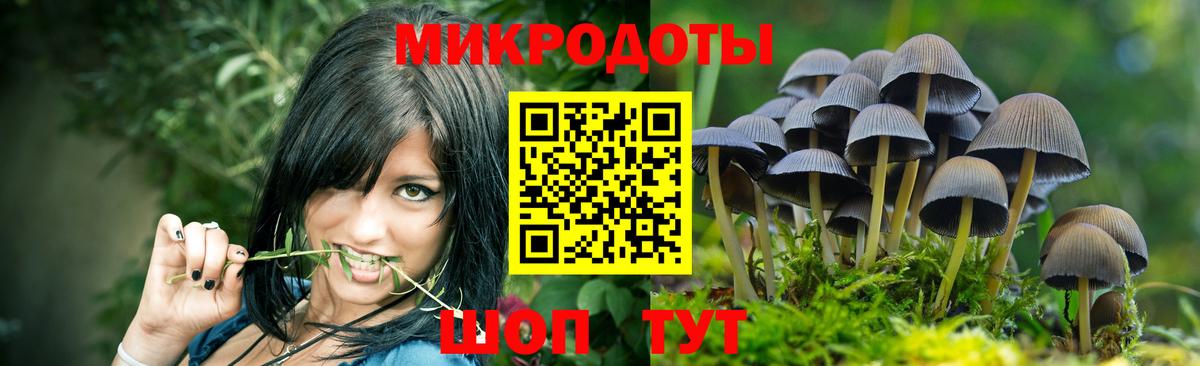 Псилоцибиновые грибы Cubensis  Вход с VPN  Сибай 